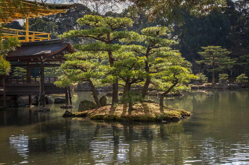 Фотография автора Алексей Козлов