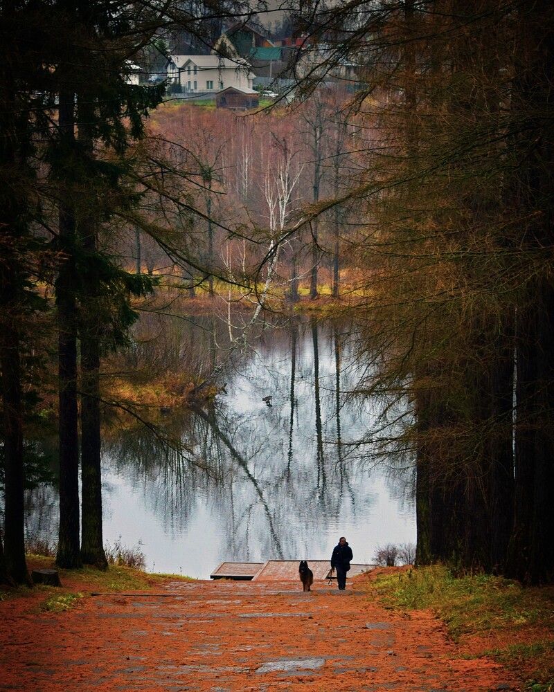 В осеннем парке. Середниково