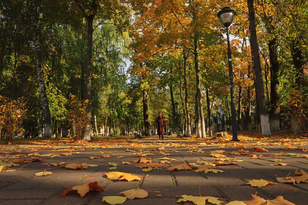 Осень пришла.