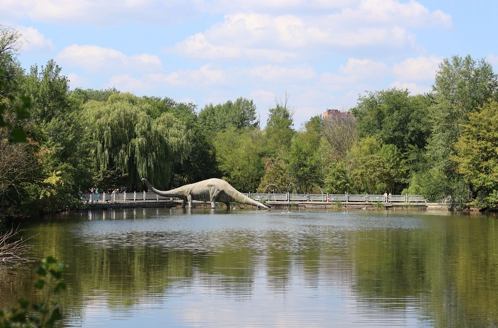 Фотография автора Мария Толкачёва