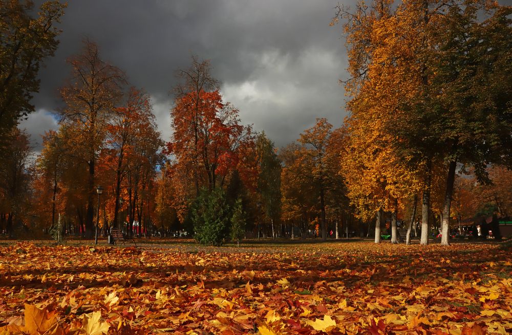 Осень в парке.