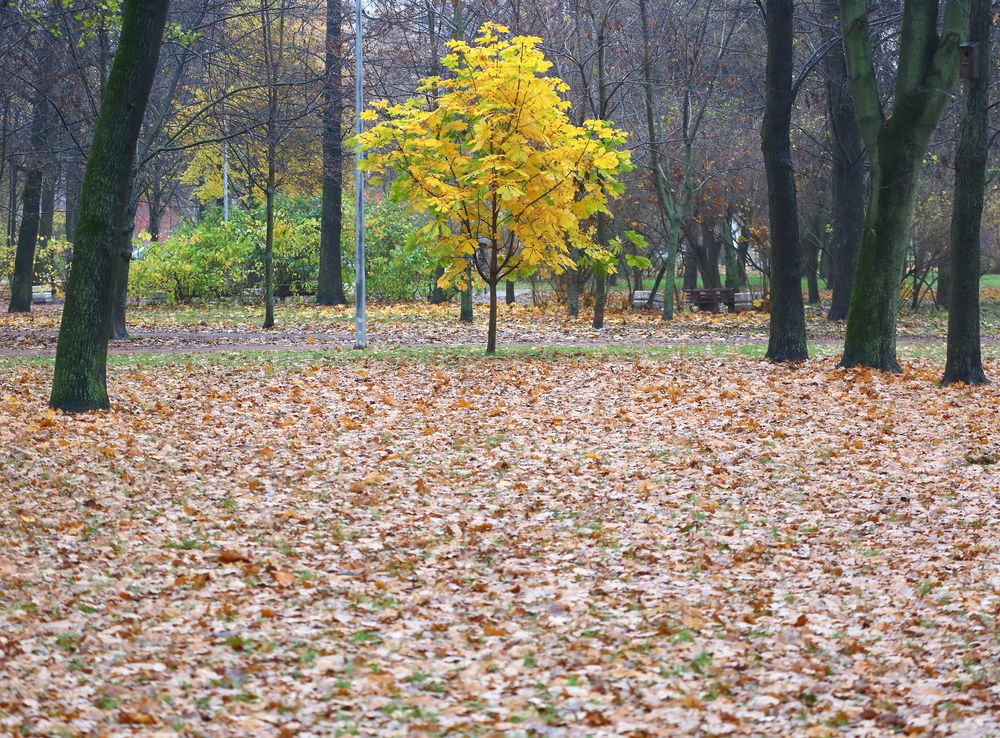 Photograph by Станислав Вершинин