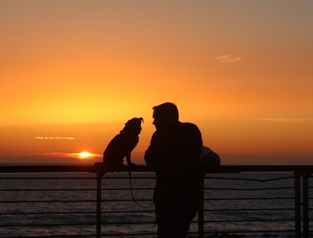 Photograph by Светлана Ханина