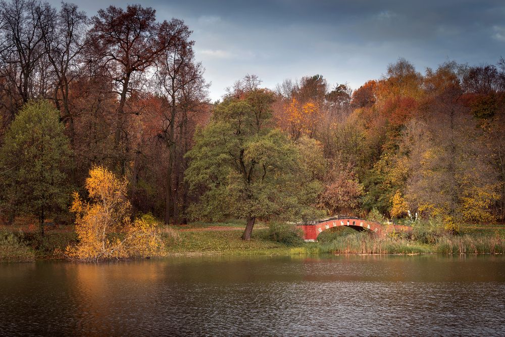 Photograph by Людмила Завьялова