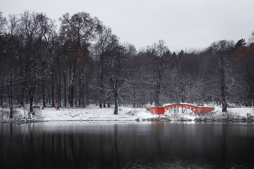 Photograph by Людмила Завьялова