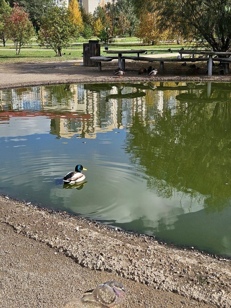 Фотография автора Tatiana Shirenko