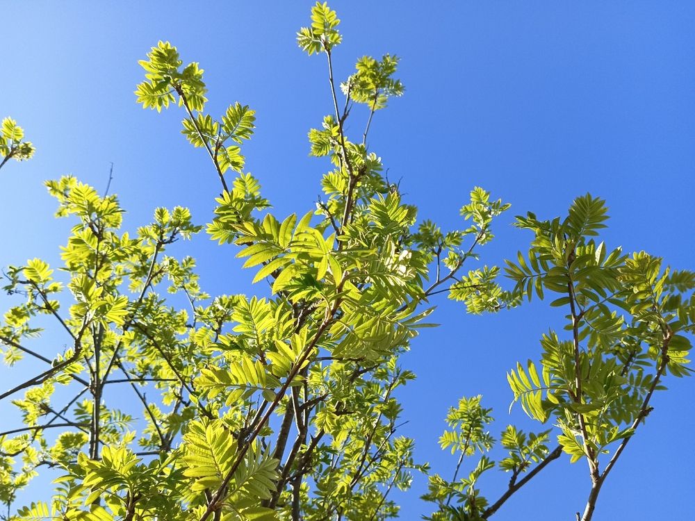 Фотография автора Неля Кочурова