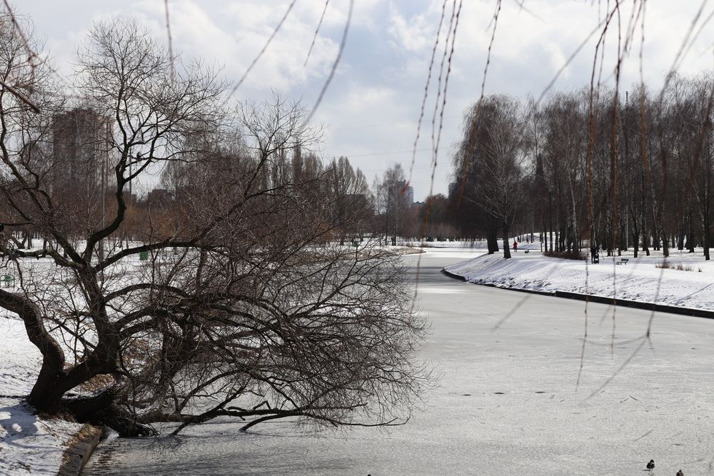 Фотография автора евгения
