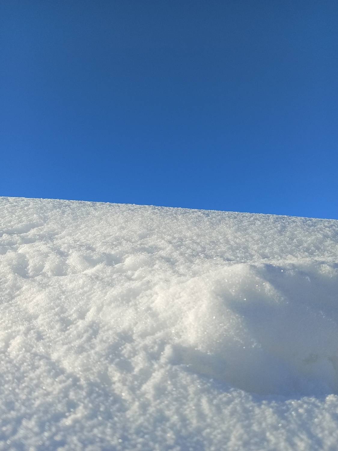 Photo #13043447