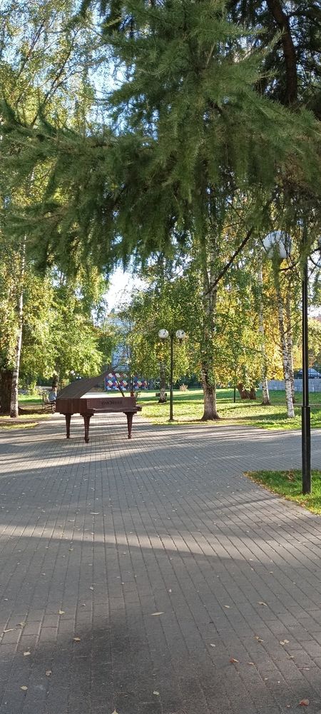 Фотография автора Неля Кочурова