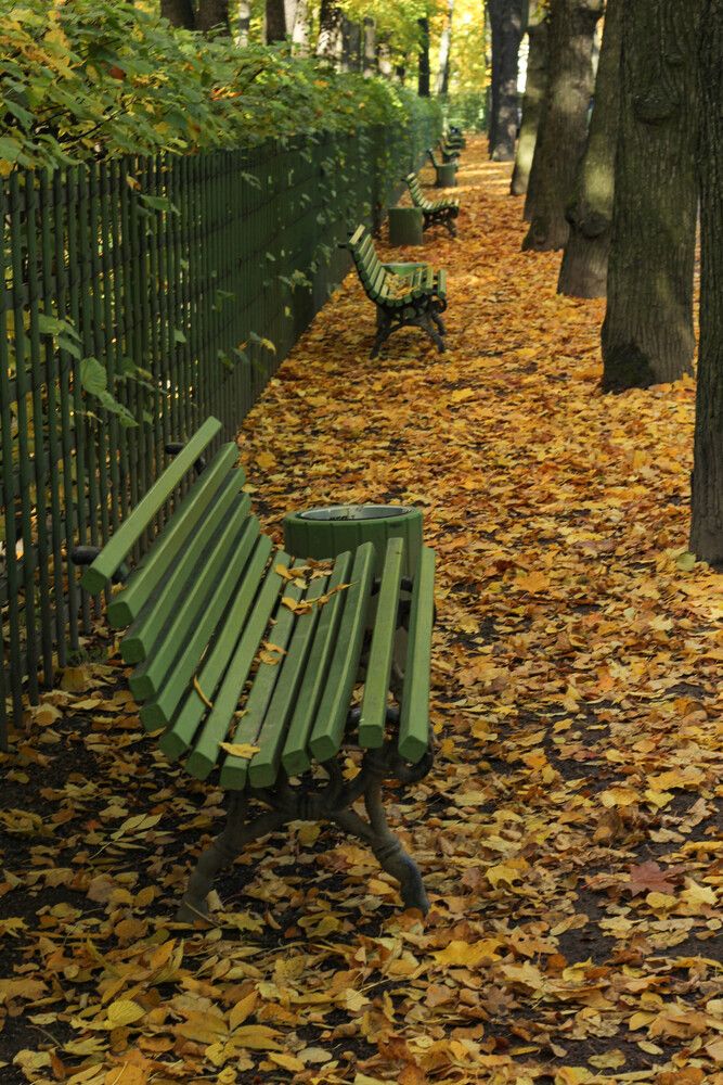 Photograph by Наталия Козлова