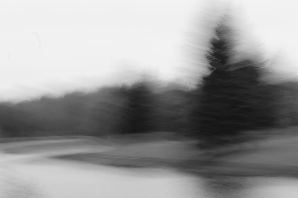 Фотография автора евгения