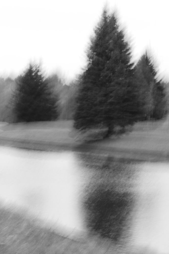 Фотография автора евгения