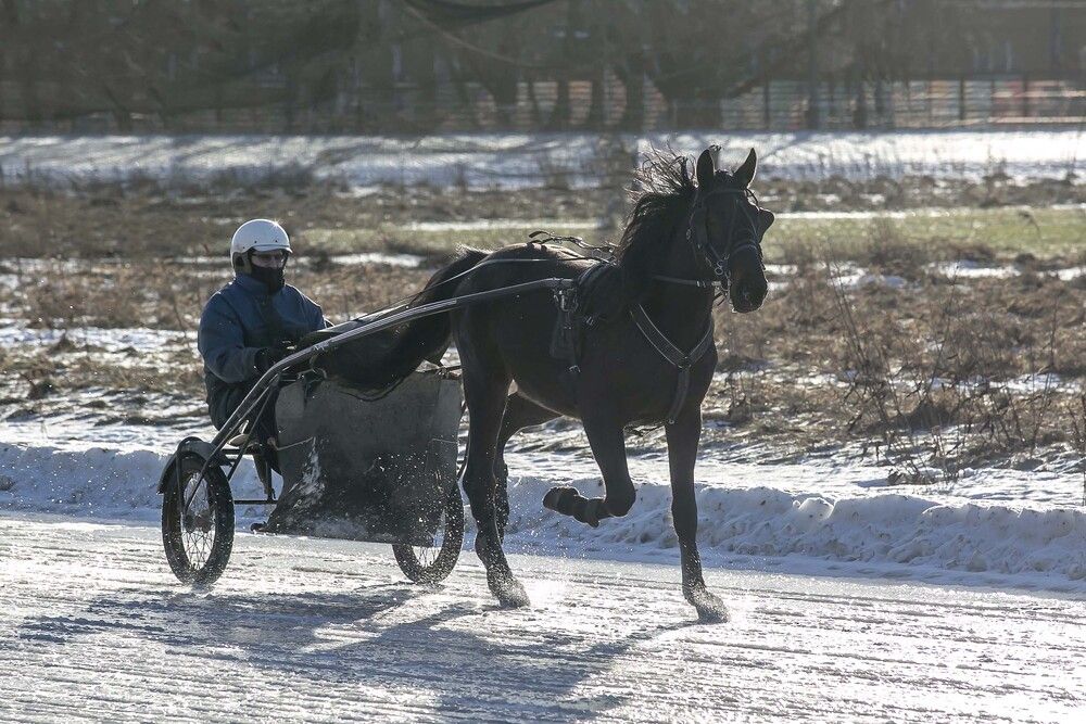Photograph by Наталья Катюжанская