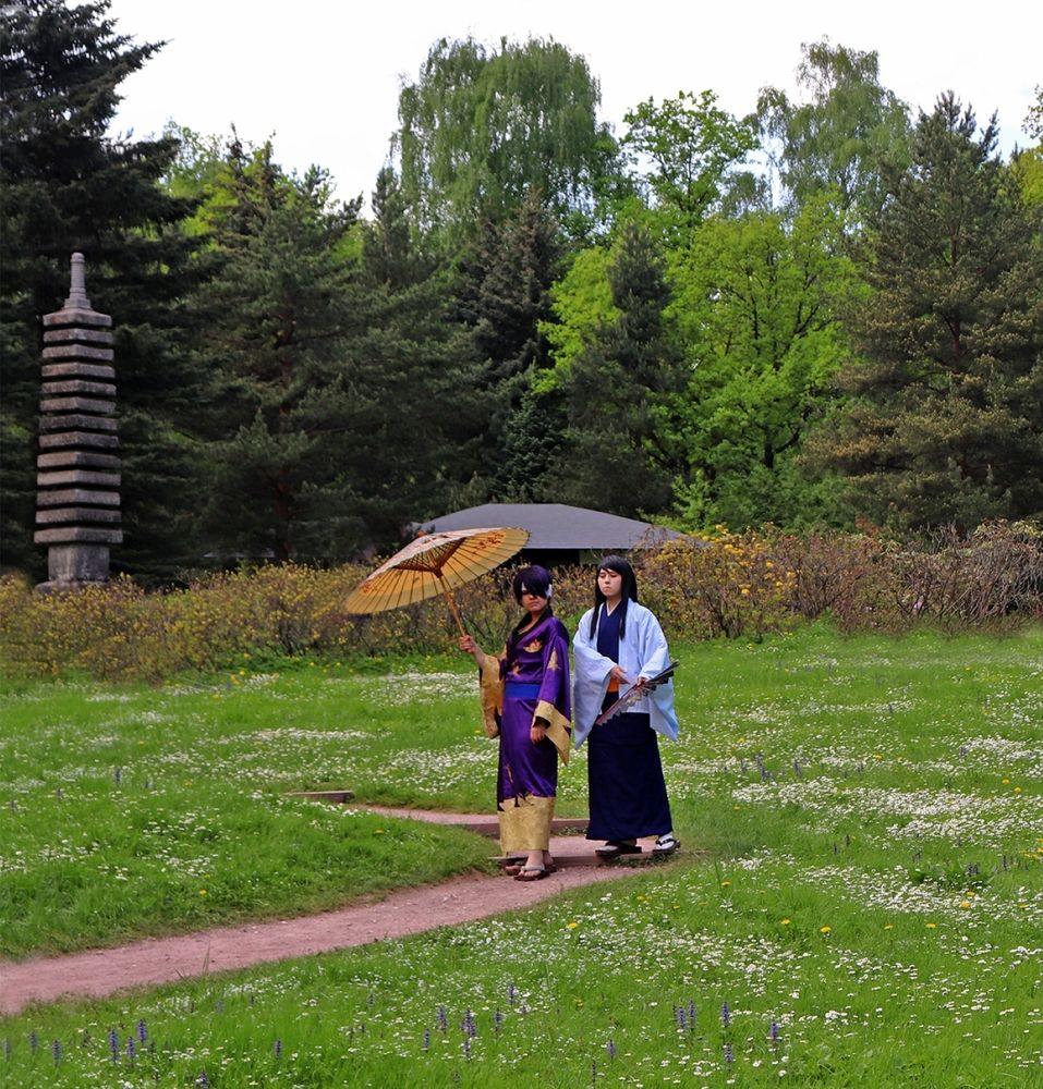 Японский парк в Ботаническом саду. Москва