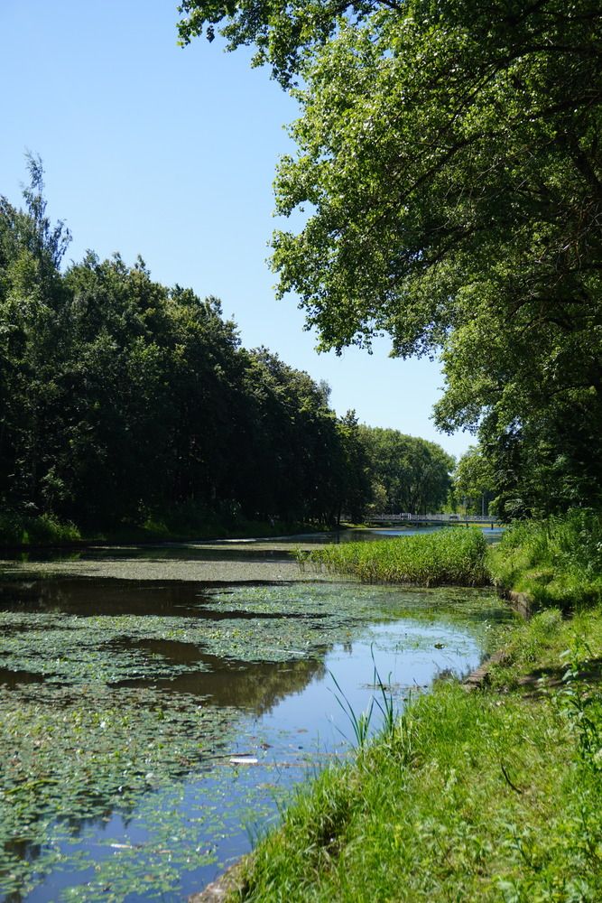 Photograph by Софья