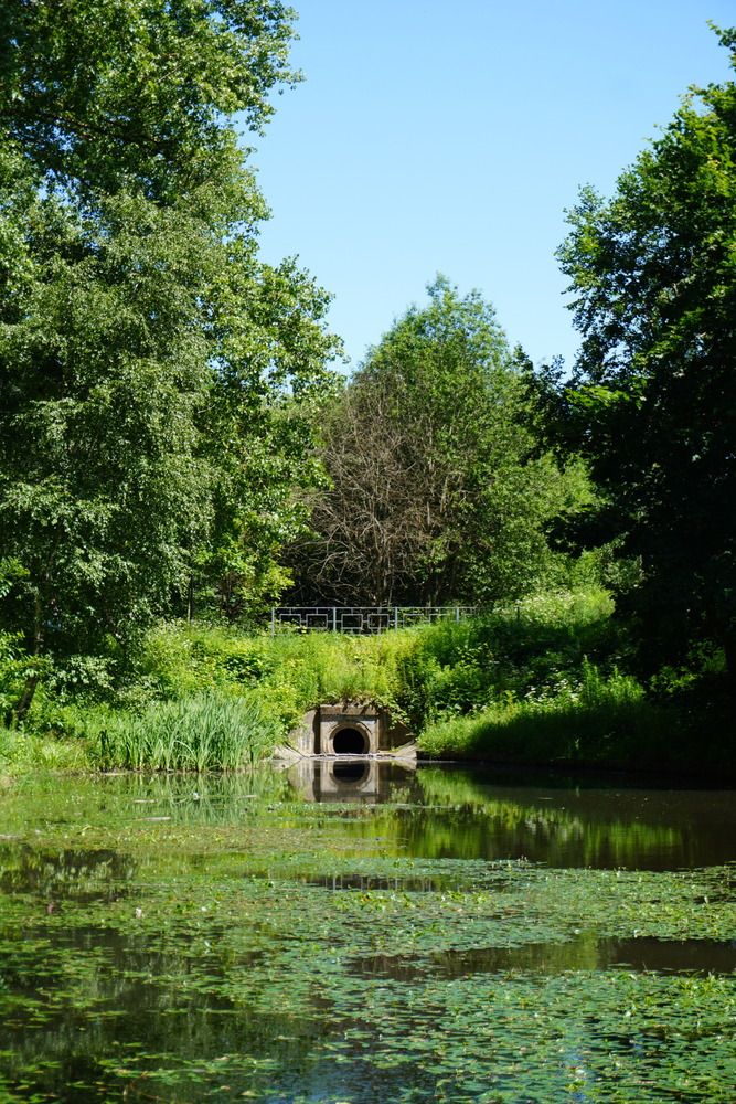 Photograph by Софья