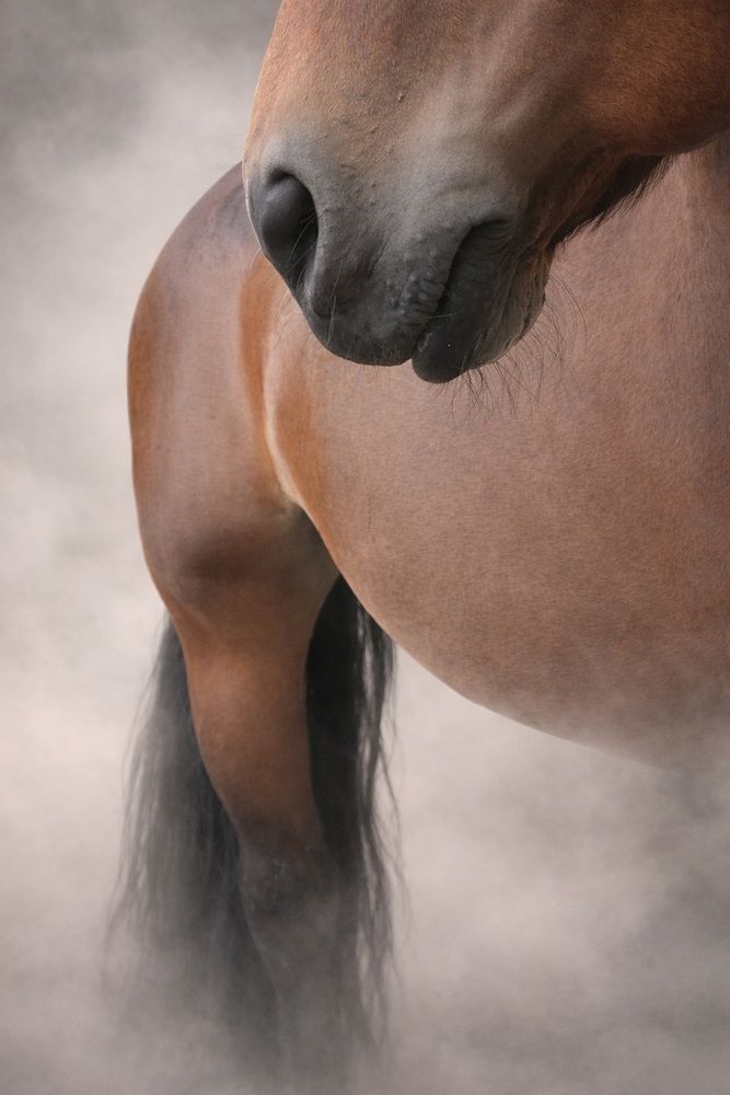 Photograph by Susann Z.