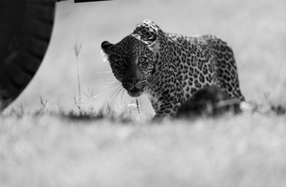 The Art of the Ambush