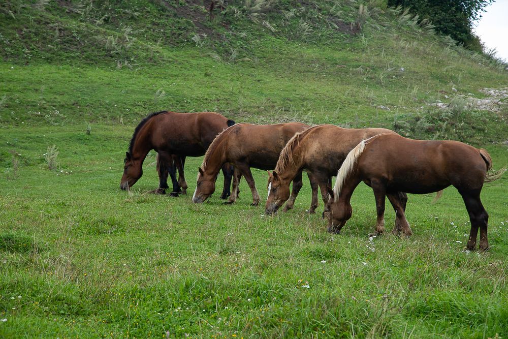 Photograph by Надежда Кузнецова