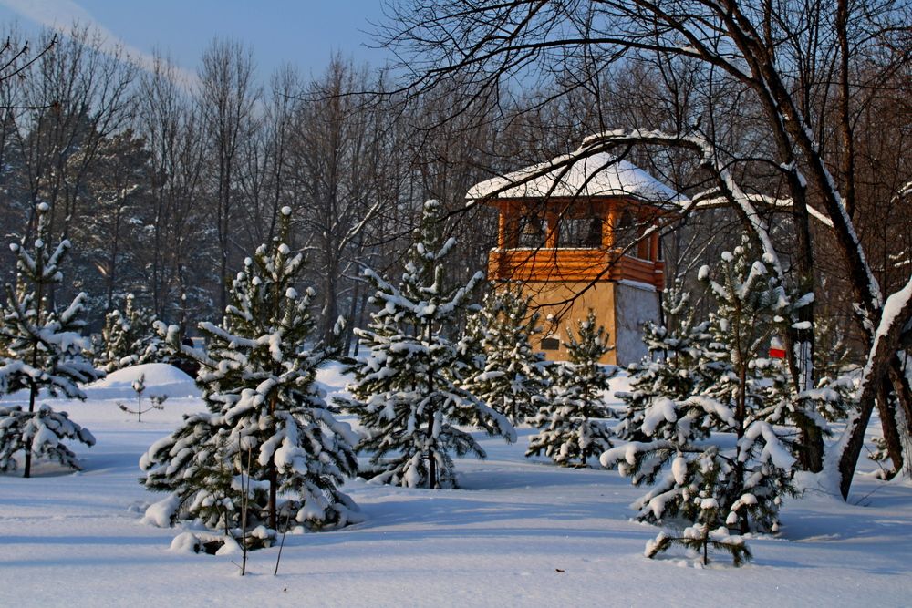 Photograph by Дмитрий Симагин