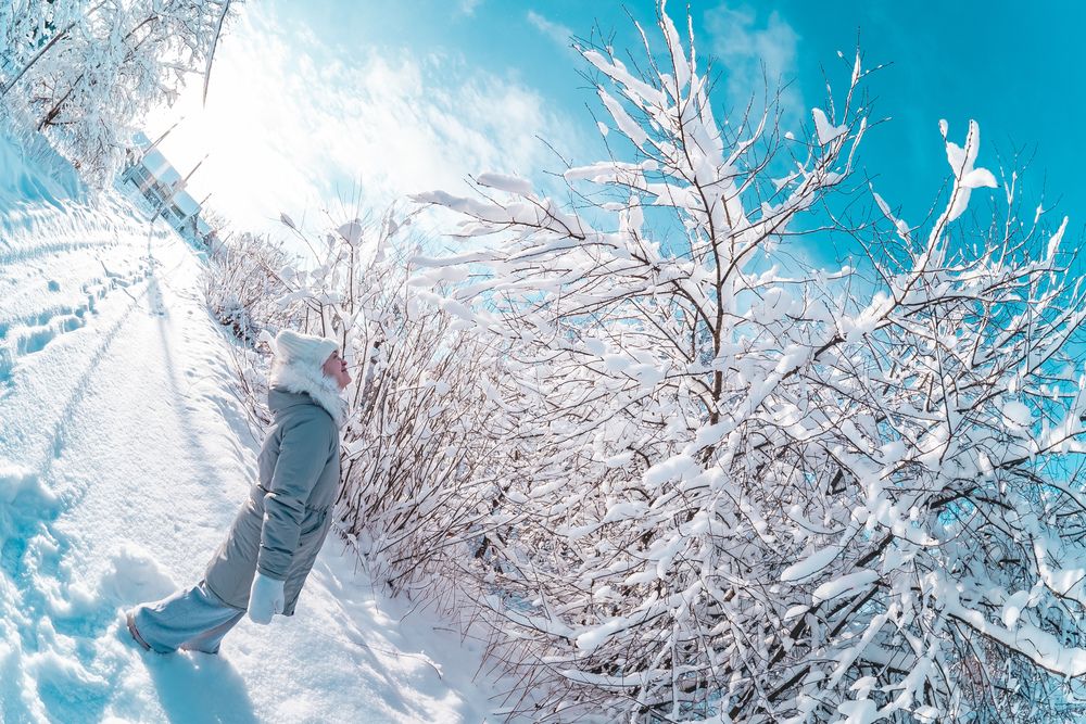 Photograph by Максим Белоус