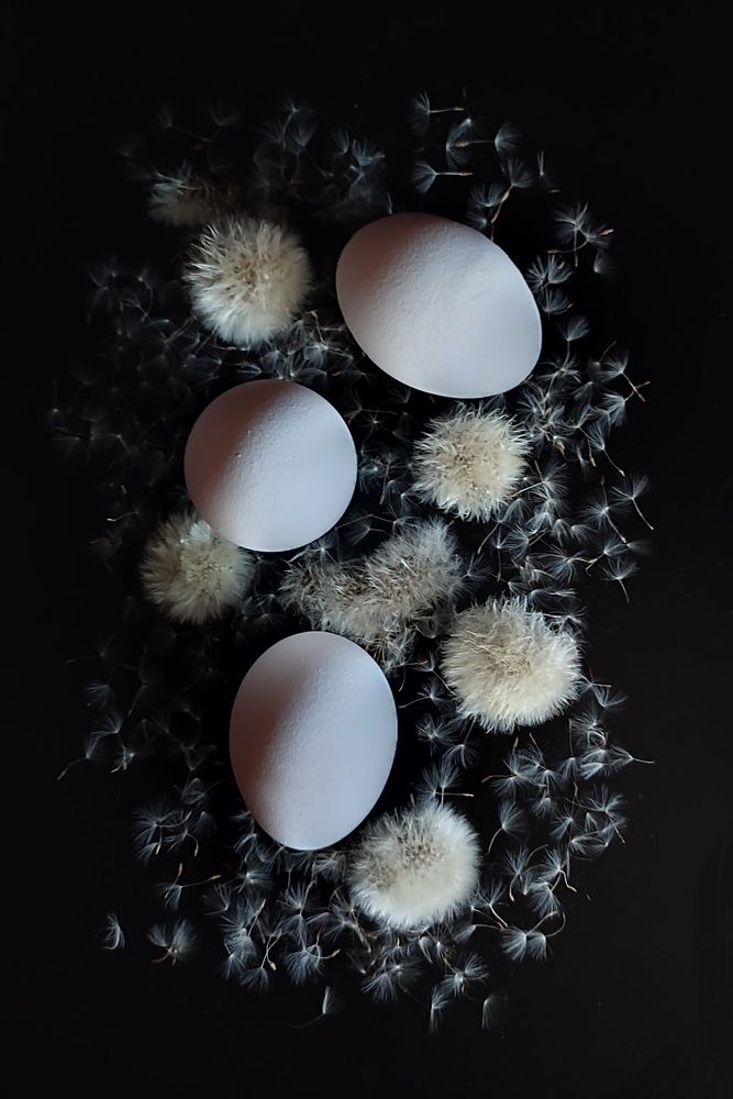 Возрождение