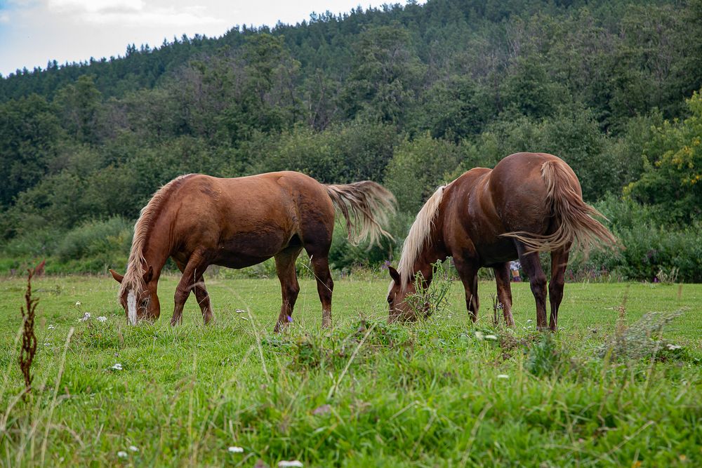 Photograph by Надежда Кузнецова