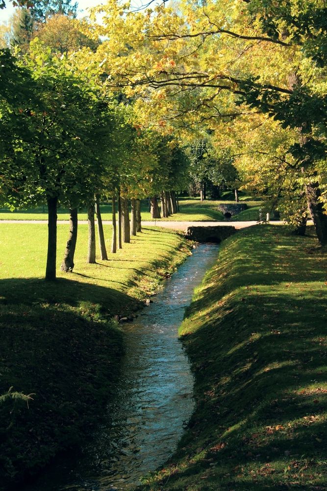 Photograph by Герасимов Игорь