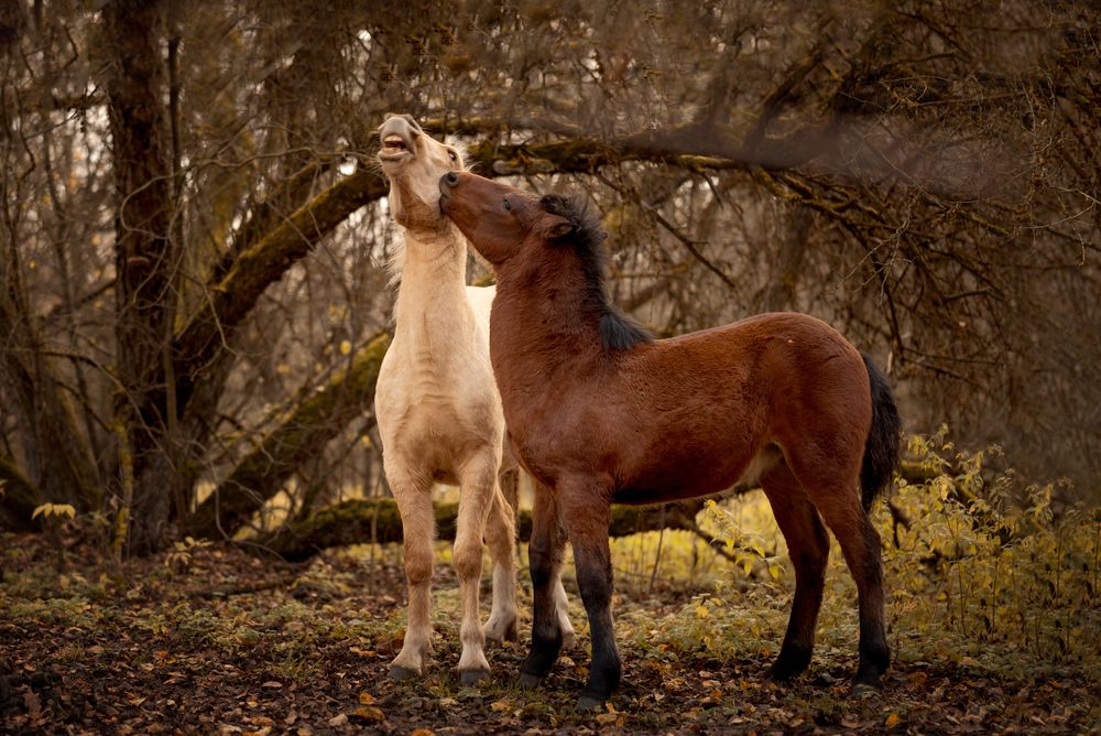 Photograph by Дарья Кончакова