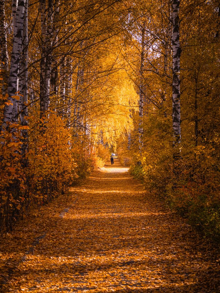 Photograph by Konstantin Martynov