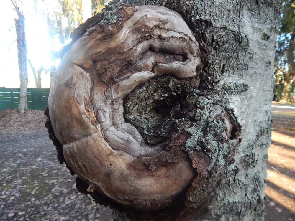 Photograph by Кирилл Елесин