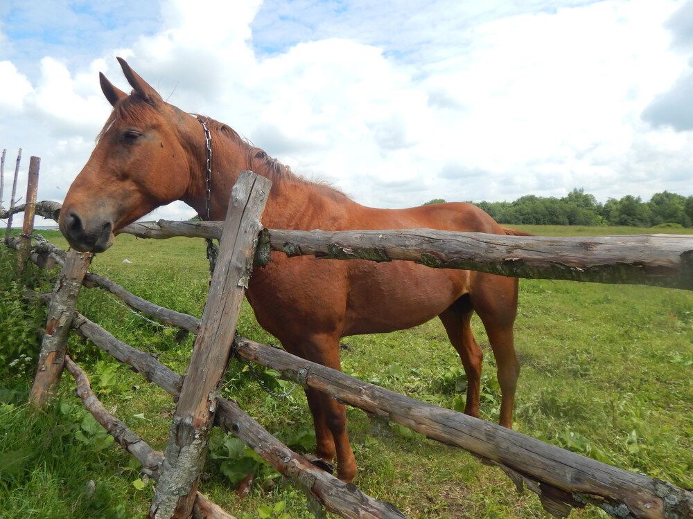 Photograph by Кирилл Елесин