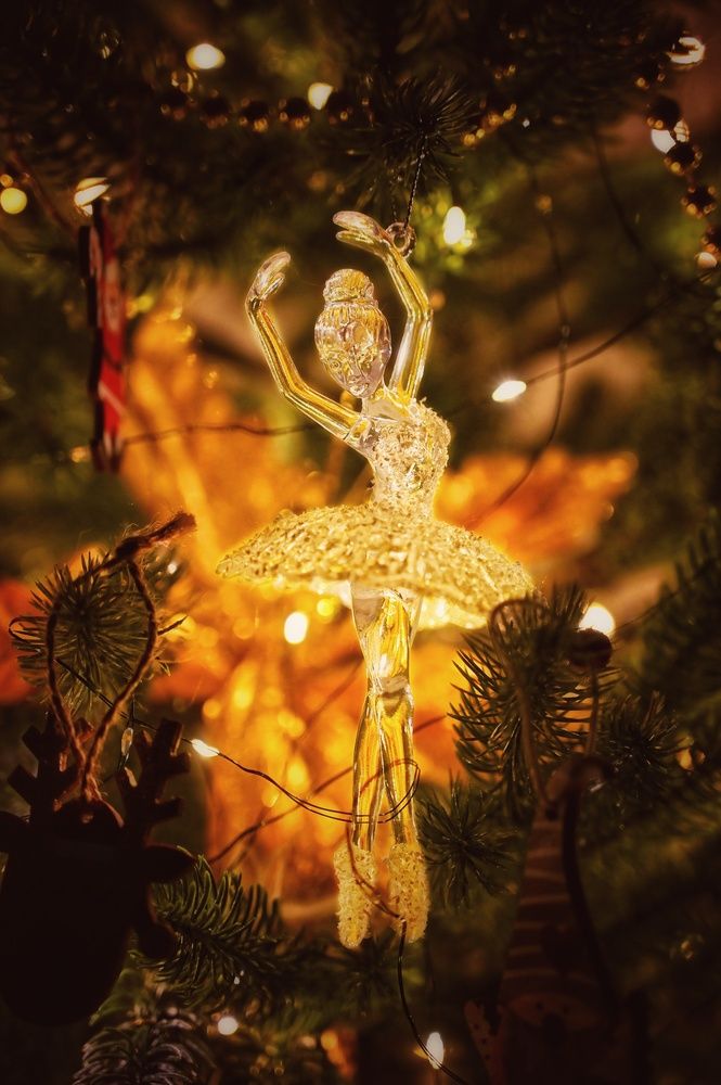 Photograph by Никита Русецкий