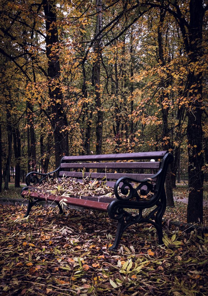 Photograph by Инна Невар