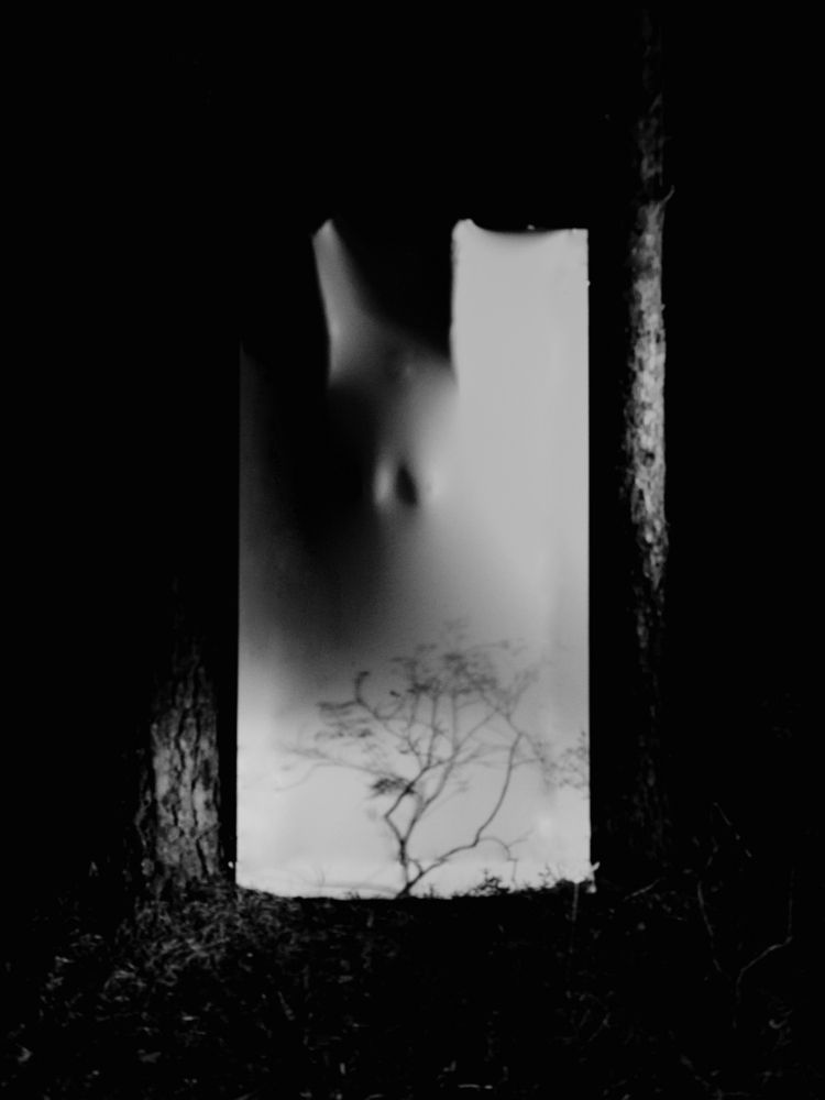 Photograph by Семёновых Александр