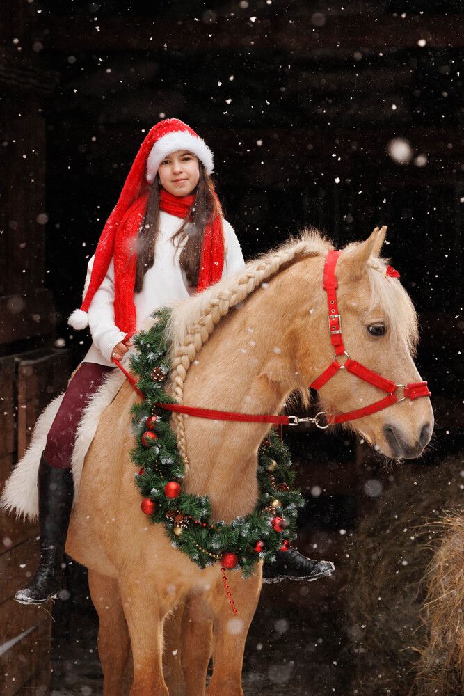 Фотография автора Елена Гордиевская