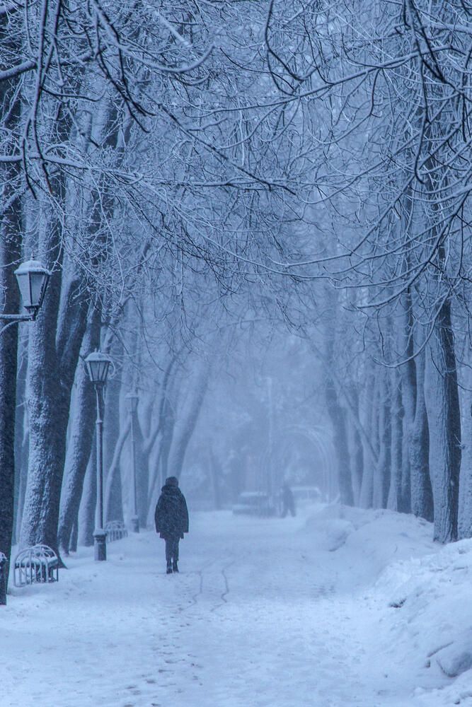 Photograph by Сергей Фомченков