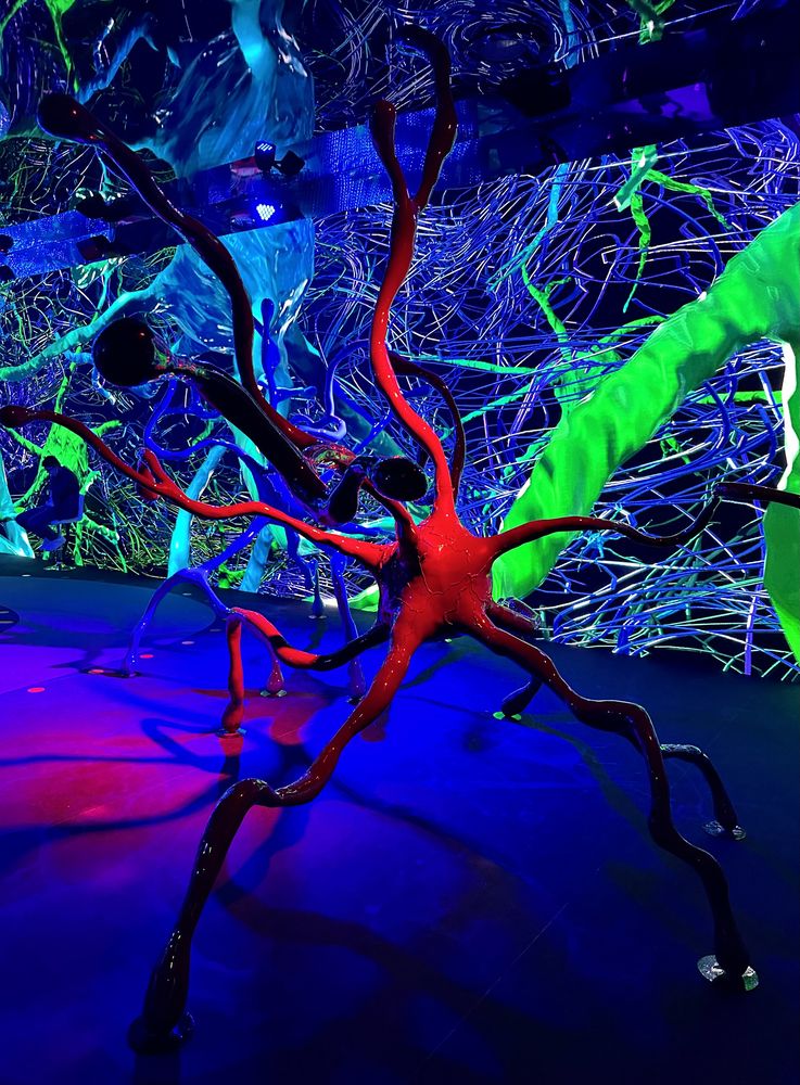 Photograph by Мария Яйнович