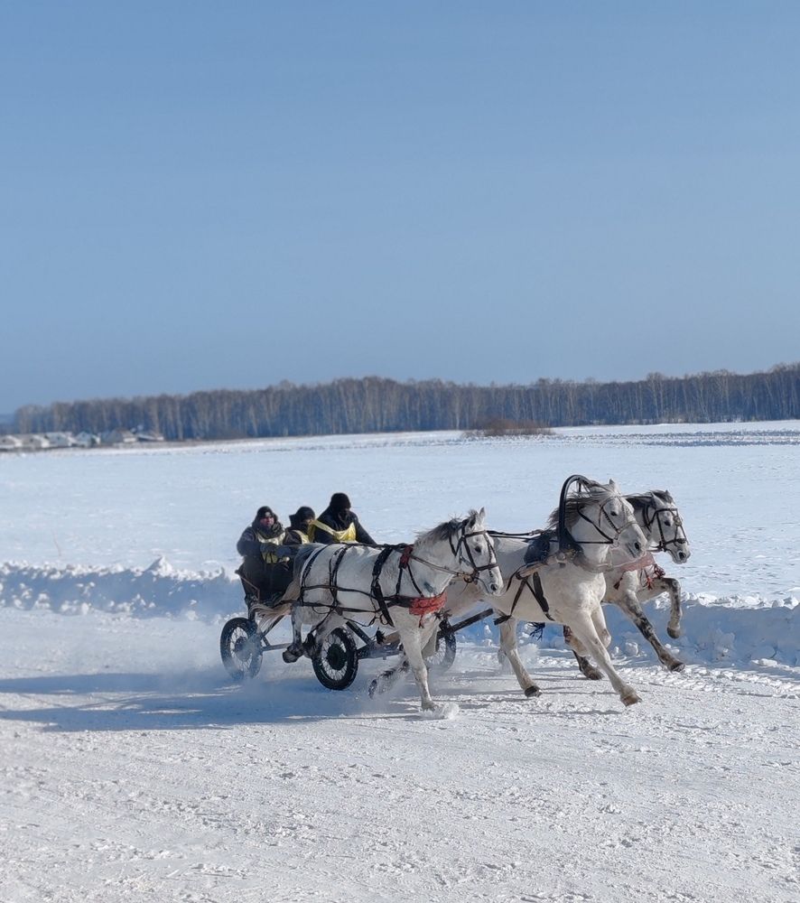 Photo #13043804