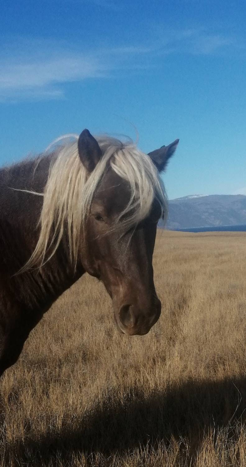 Photo #13043805