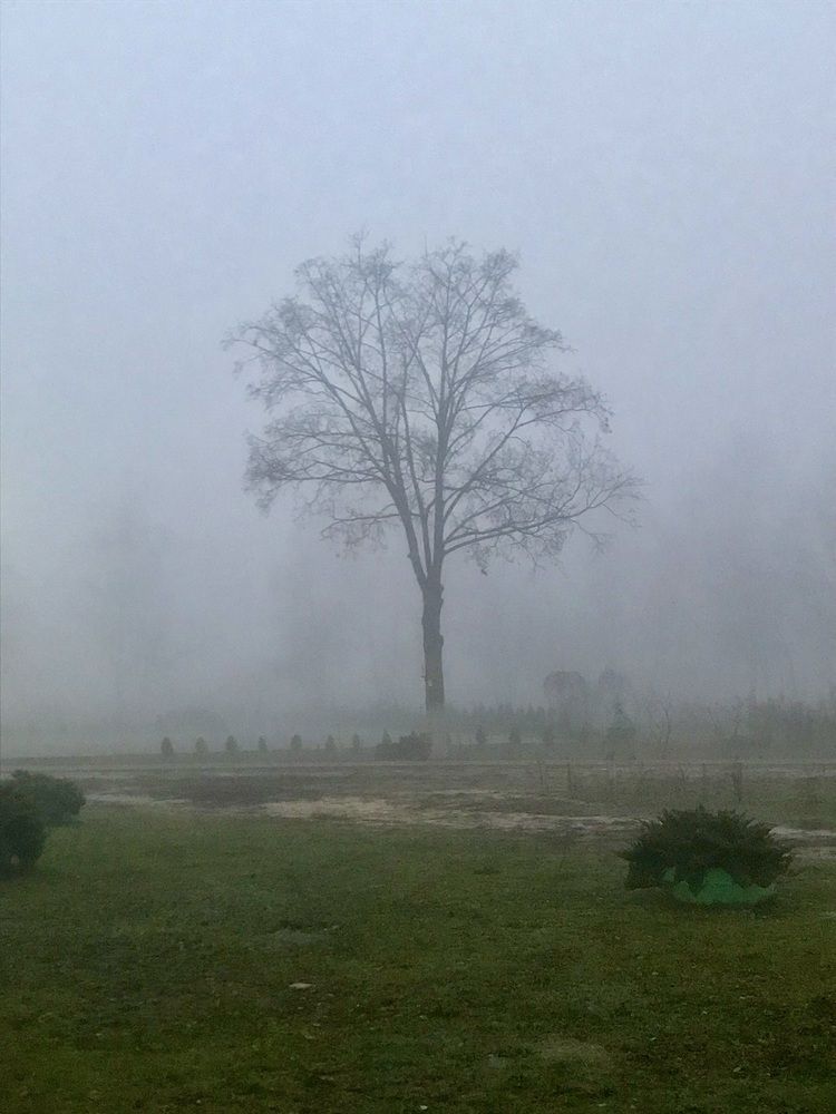 Утро