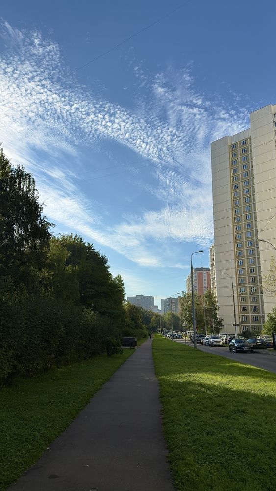 Photograph by Ekaterina Slepneva