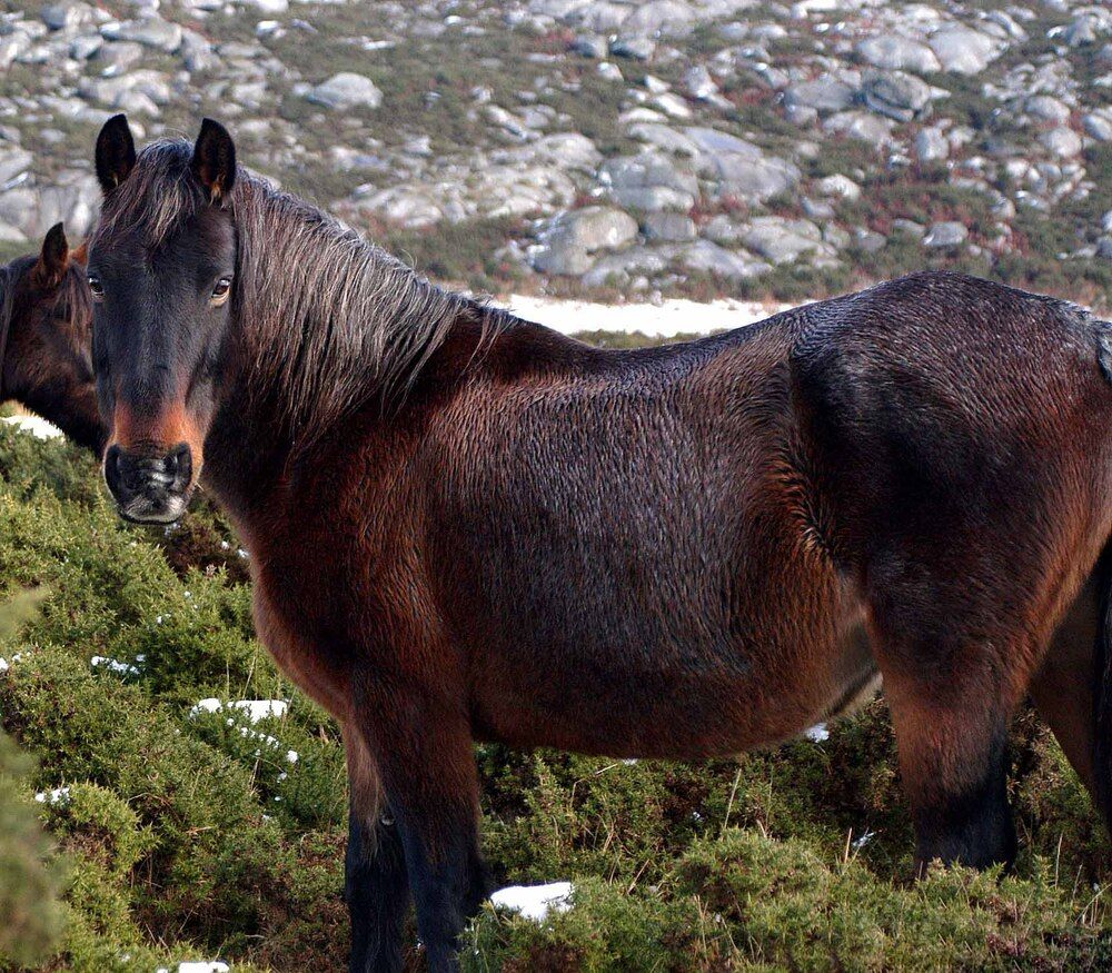 Photograph by JOSE LIMA RODRIGUES