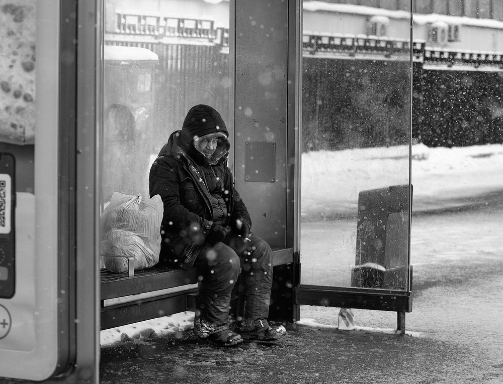 Фотография автора Vera Trandina