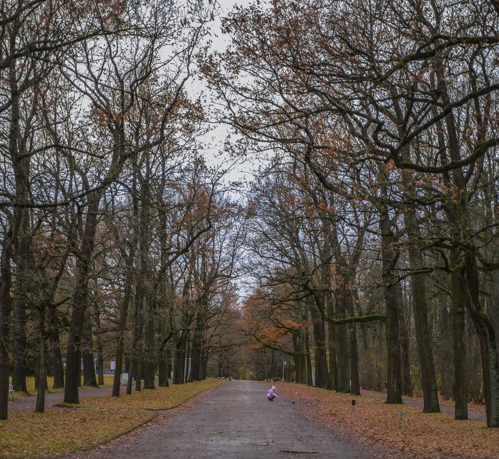 Photograph by Армашов-Тельник Григорий