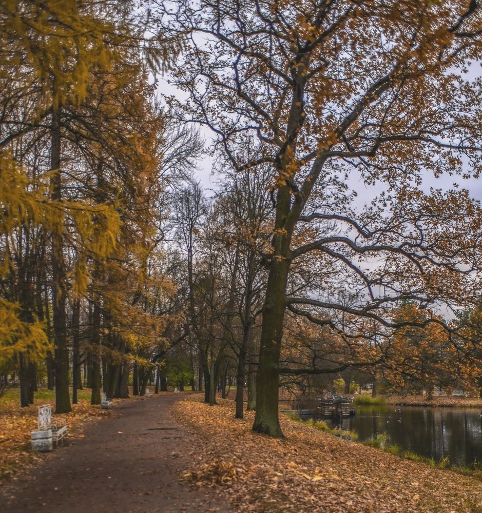 Photograph by Армашов-Тельник Григорий