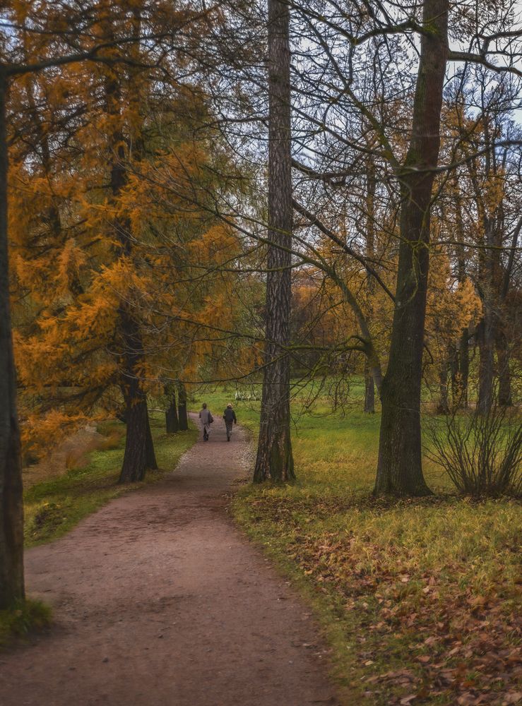 Photograph by Армашов-Тельник Григорий