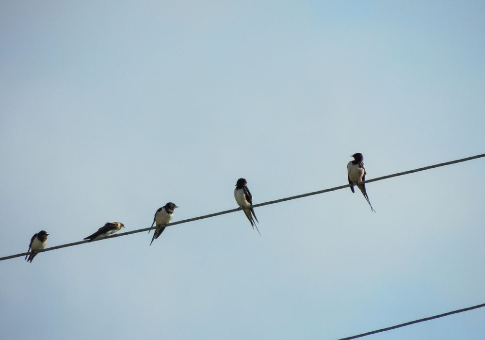 Photograph by Владислав Коростелев