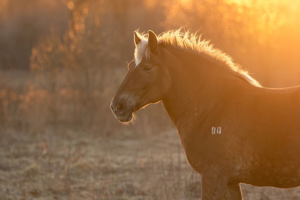 Photograph by Зубкова Юлия
